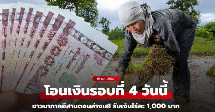 เงินไร่ 1000 บาท