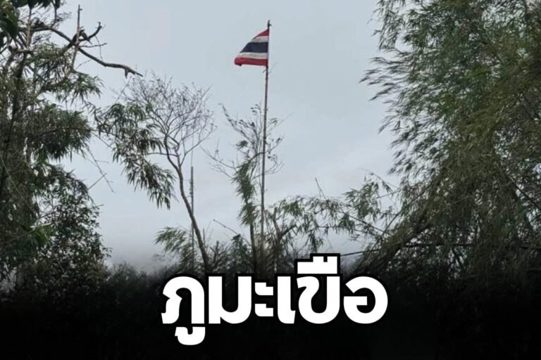 ภูมะเขือ