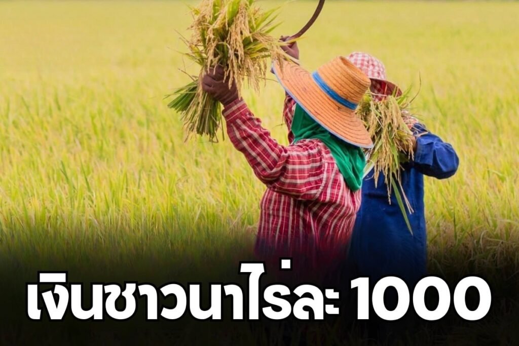 เงินชาวนาไร่ละ 1000