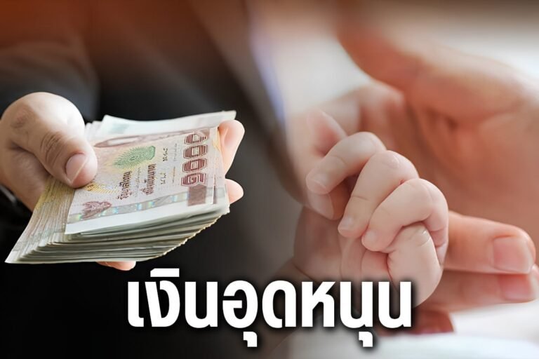 เงินอุดหนุน